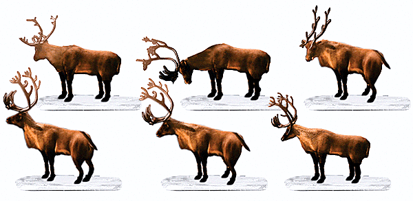  Polar Express Caribou Animal pack 